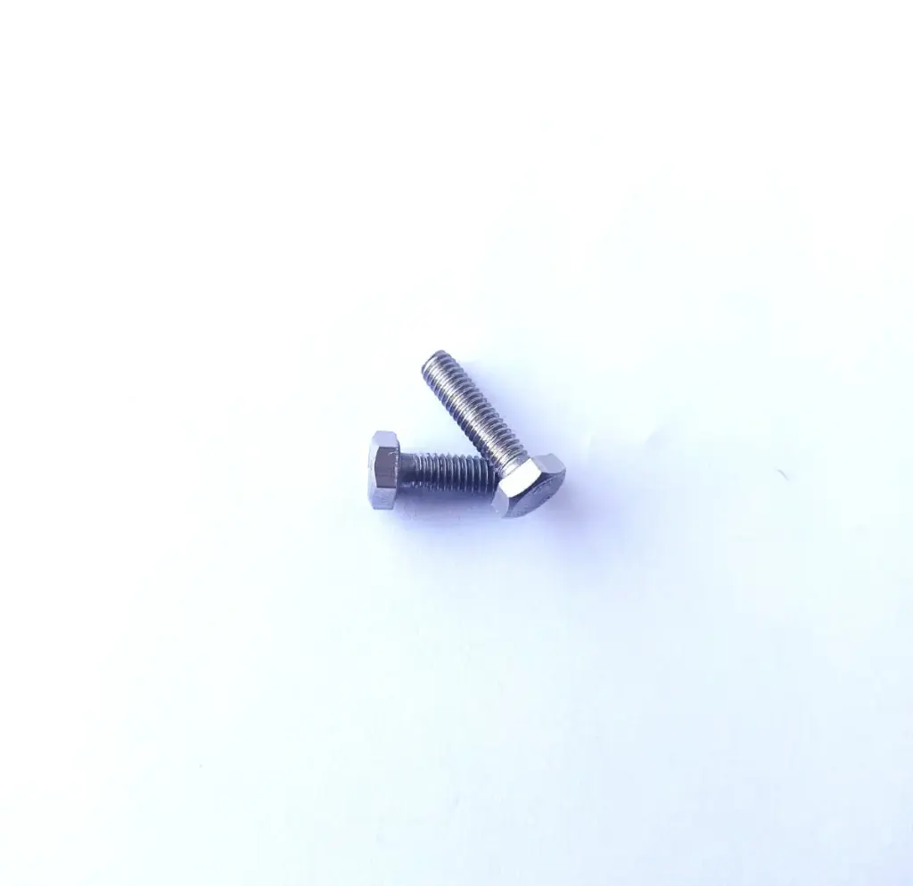 SCREW, M6S ISO 4017 M4X16 A4 70